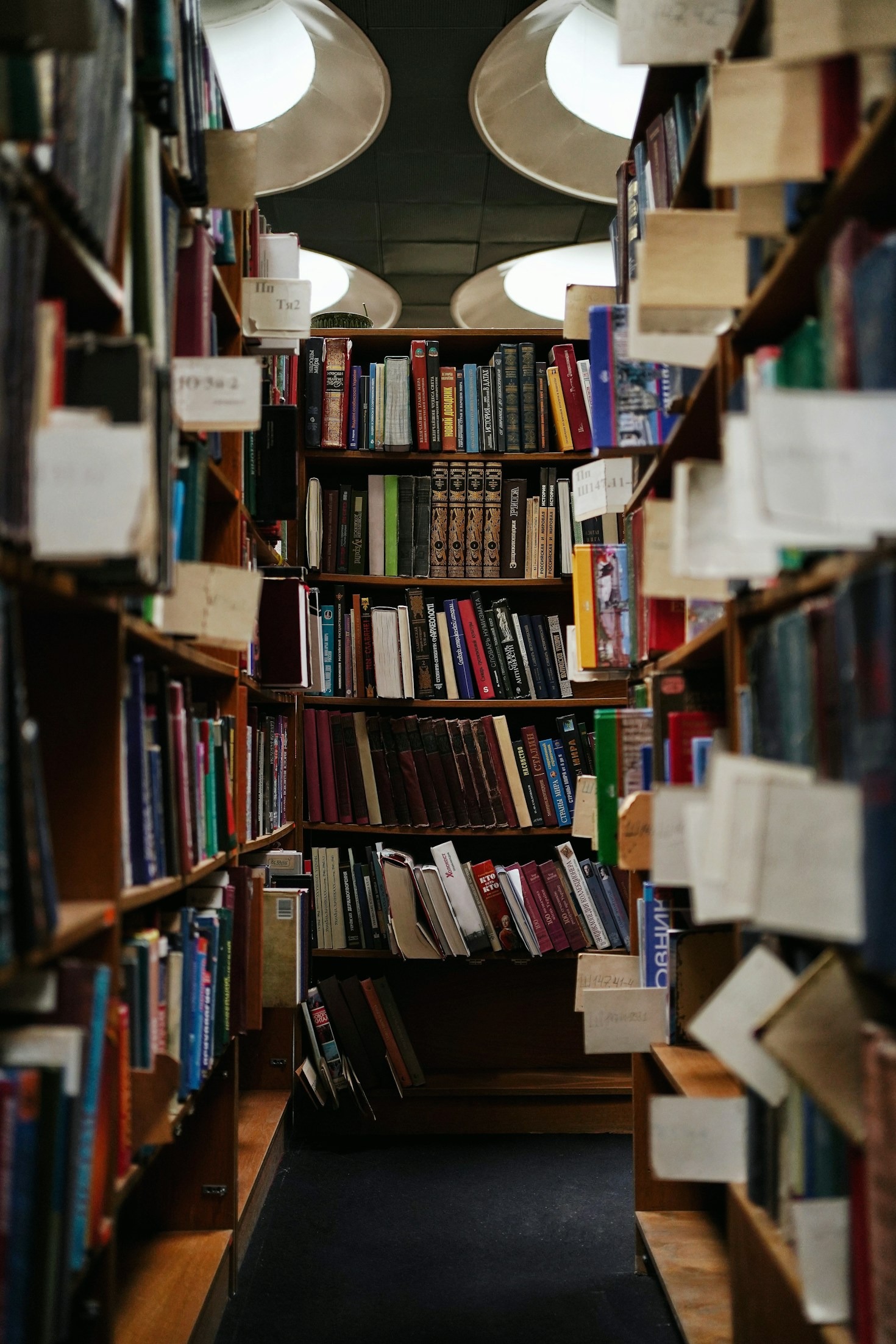 Le chemin vers l’excellence scolaire et professionnelle